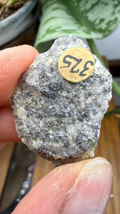 Ferrimolybdite- Big Cottonwood Canyon, Salt Lake County, Utah, USA