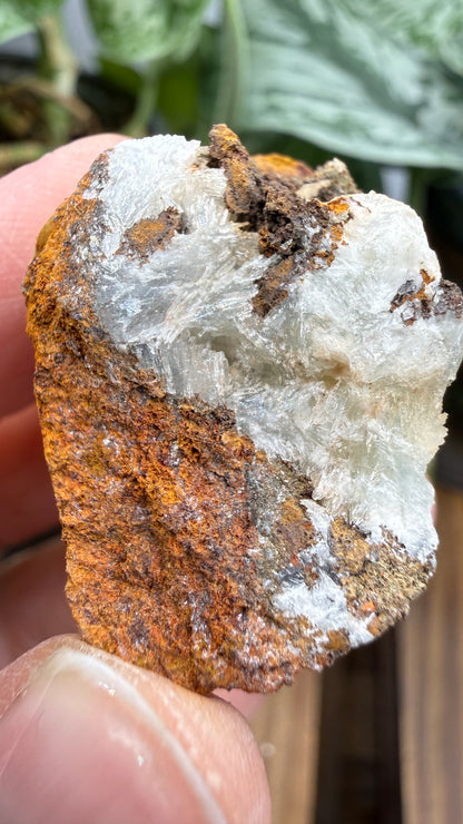 Parahopeite- Northern Rhodesia (present-day Zambia)