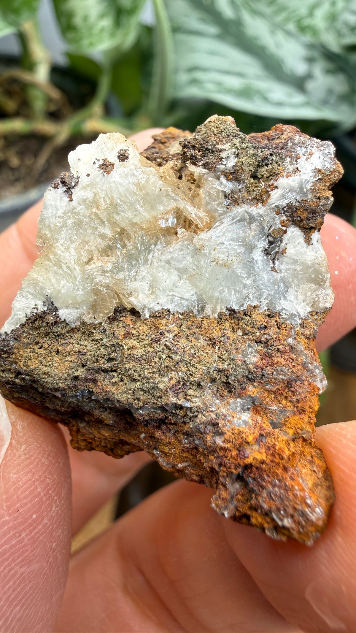 Parahopeite- Northern Rhodesia (present-day Zambia)