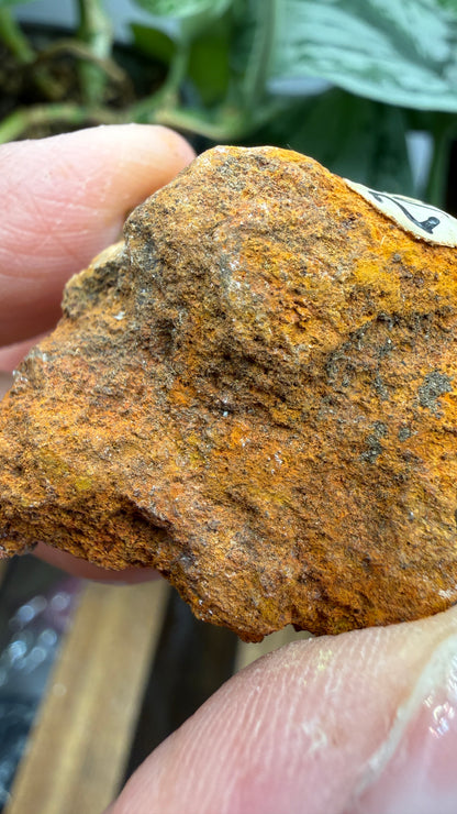 Parahopeite- Northern Rhodesia (present-day Zambia)