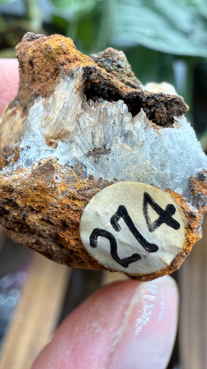 Parahopeite- Northern Rhodesia (present-day Zambia)