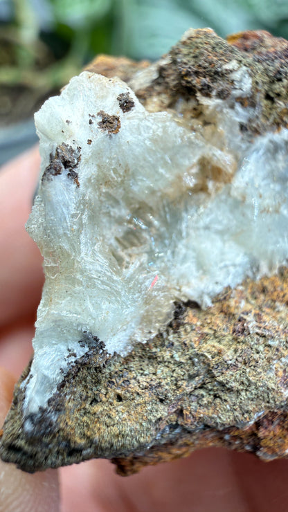 Parahopeite- Northern Rhodesia (present-day Zambia)
