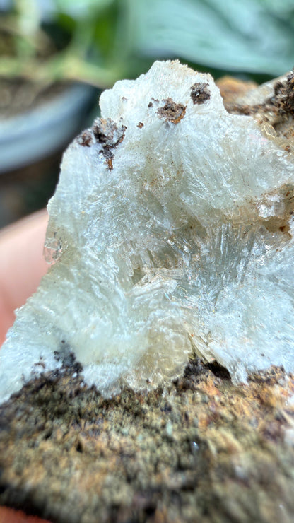 Parahopeite- Northern Rhodesia (present-day Zambia)
