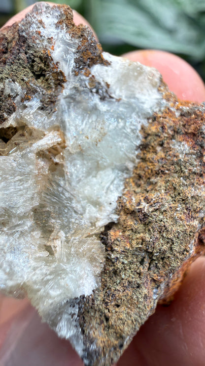 Parahopeite- Northern Rhodesia (present-day Zambia)