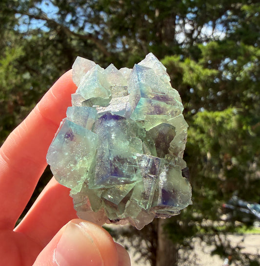 Fluorite - Northern Lights Pocket, River Catcher Vein, Diana Maria Mine, Frosterley, Weardale, Co. Durham, UK