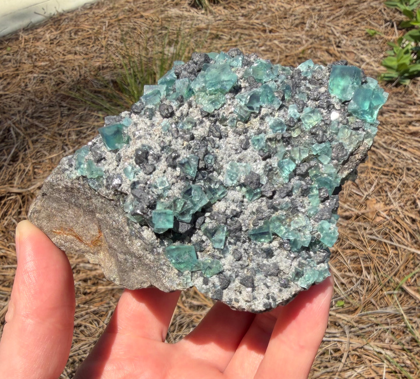 Fluorite - Heavy Metal Pocket, Diana Maria Mine, Frosterley, Weardale, Co. Durham, England