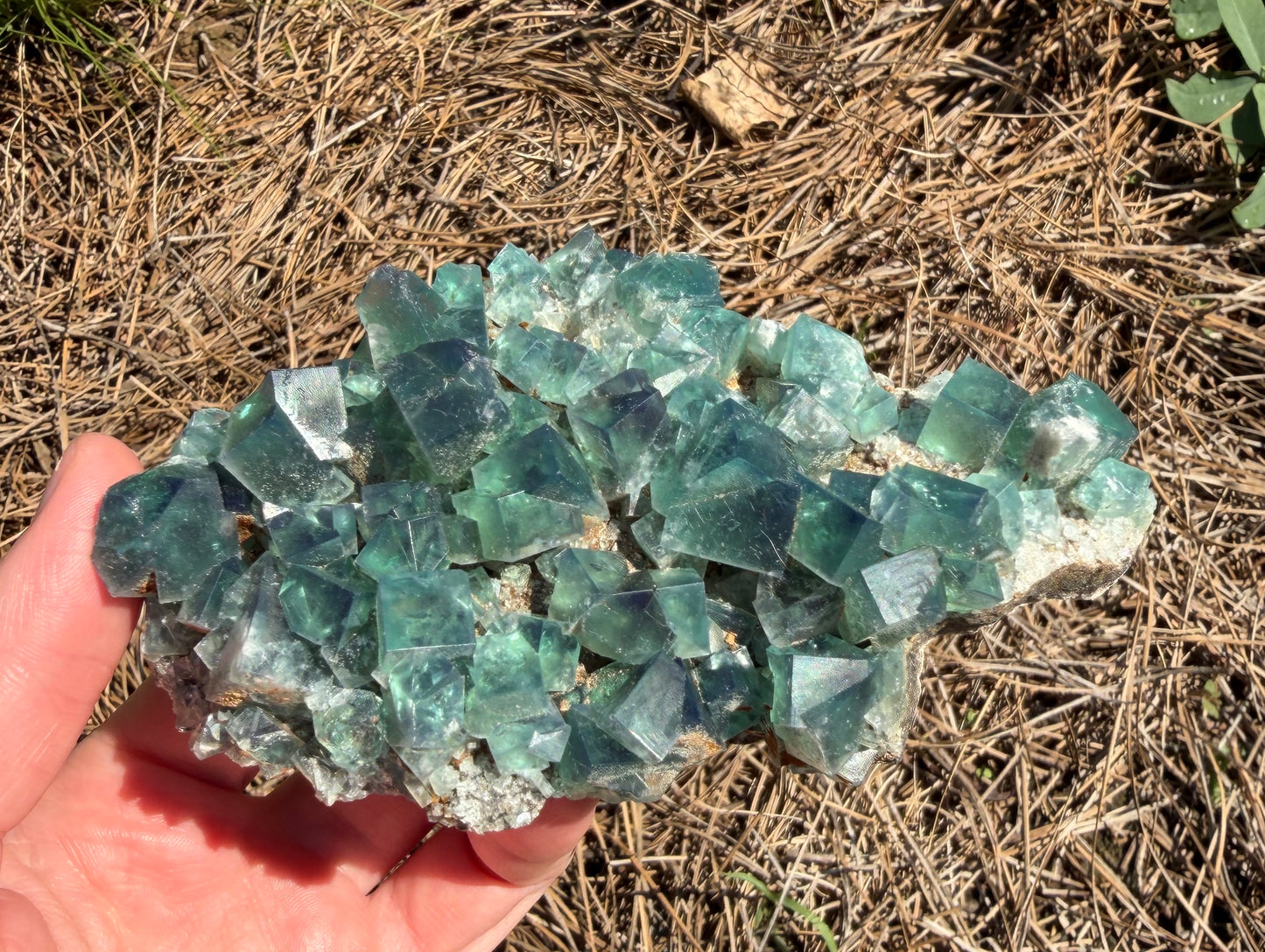 Fluorite - Greedy Hog Pocket, Diana Maria Mine, Frosterley, Weardale, Co. Durham, England