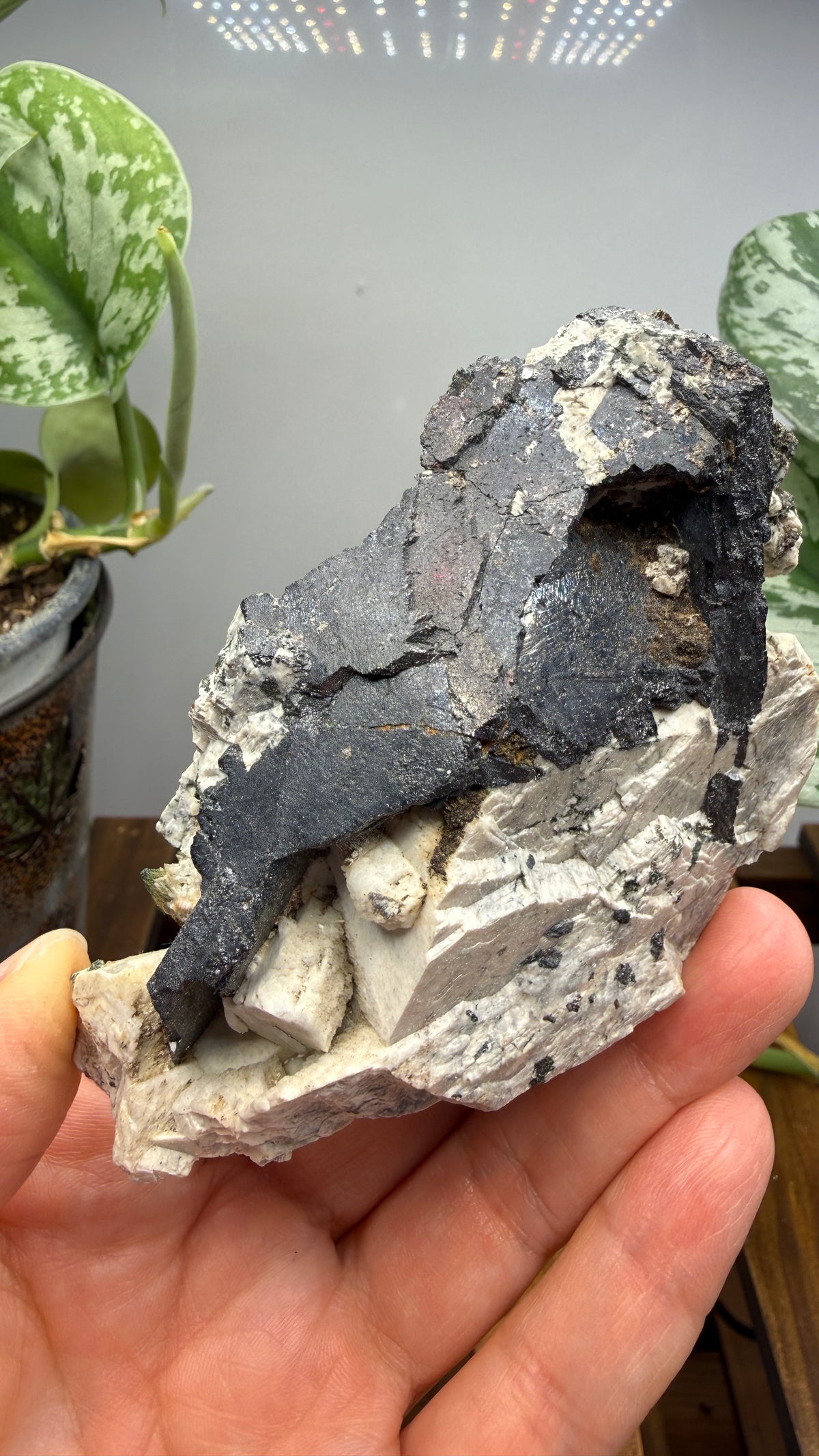 Aegirine with Albite- Mount Malosa, Zomba District, Southern Region, Malawi