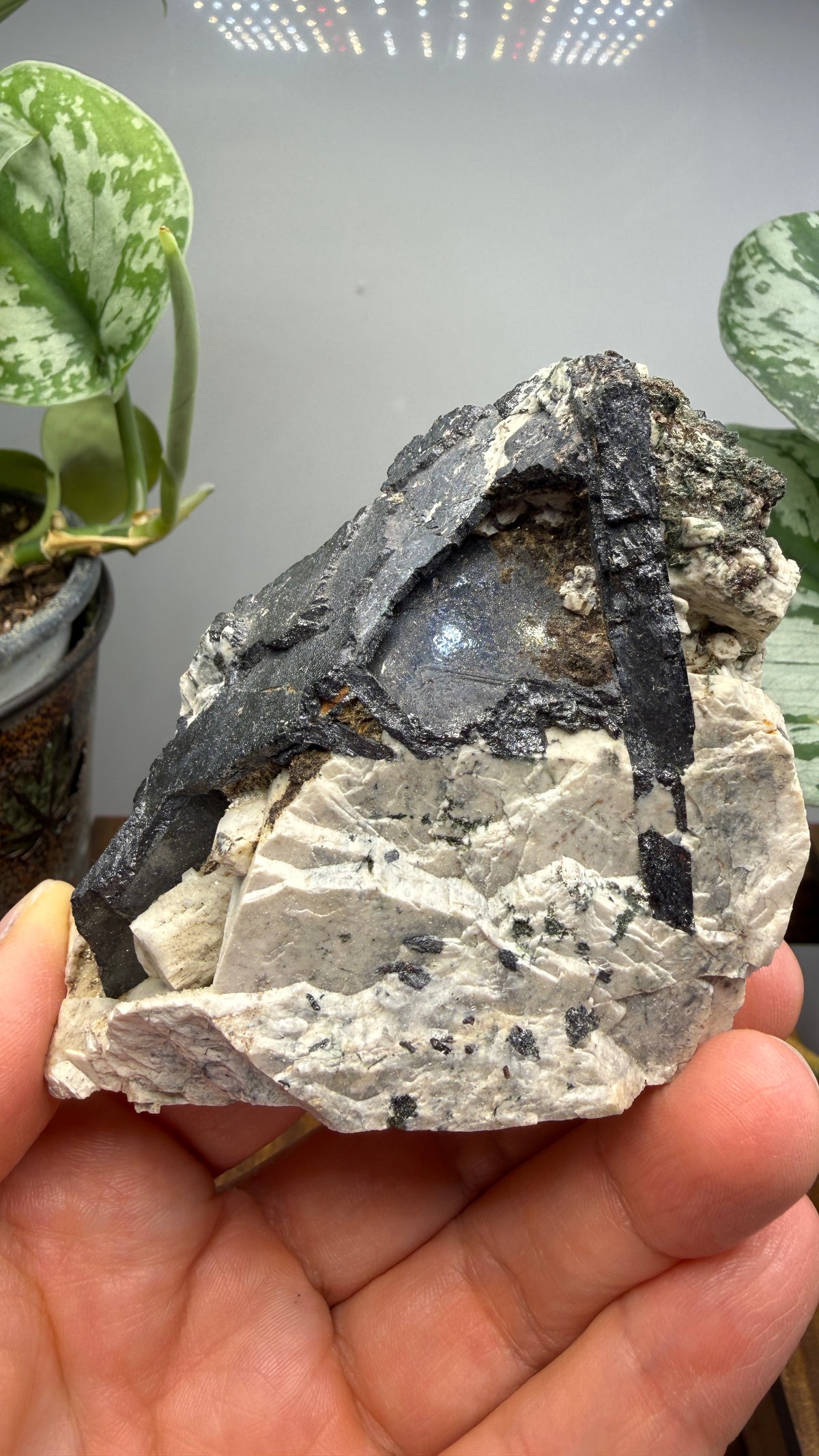 Aegirine with Albite- Mount Malosa, Zomba District, Southern Region, Malawi