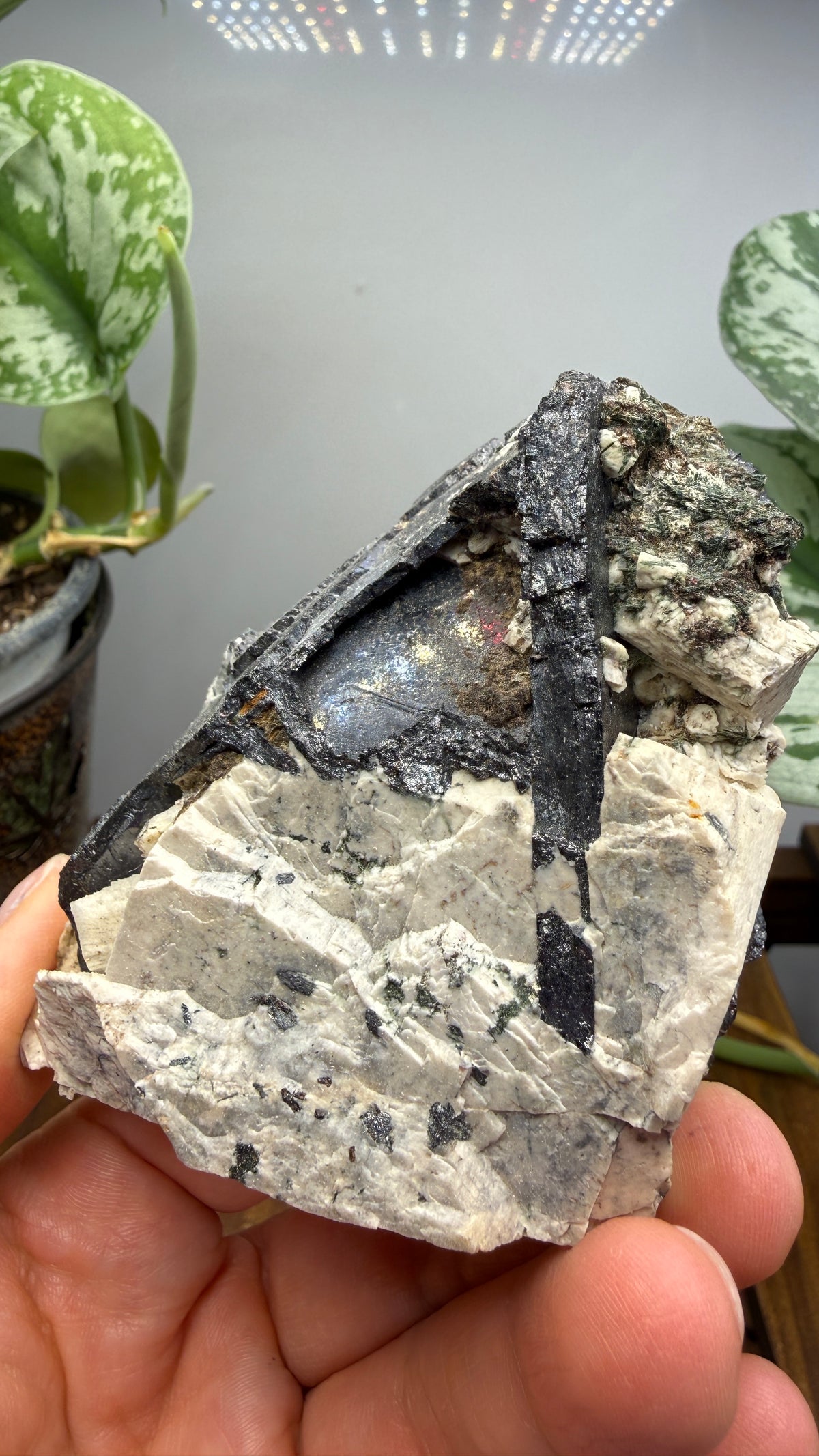 Aegirine with Albite- Mount Malosa, Zomba District, Southern Region, Malawi