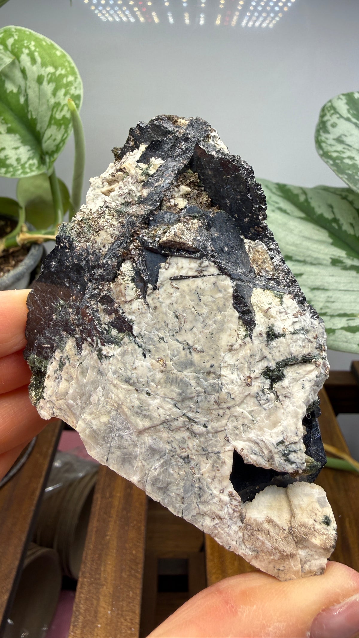 Aegirine with Albite- Mount Malosa, Zomba District, Southern Region, Malawi