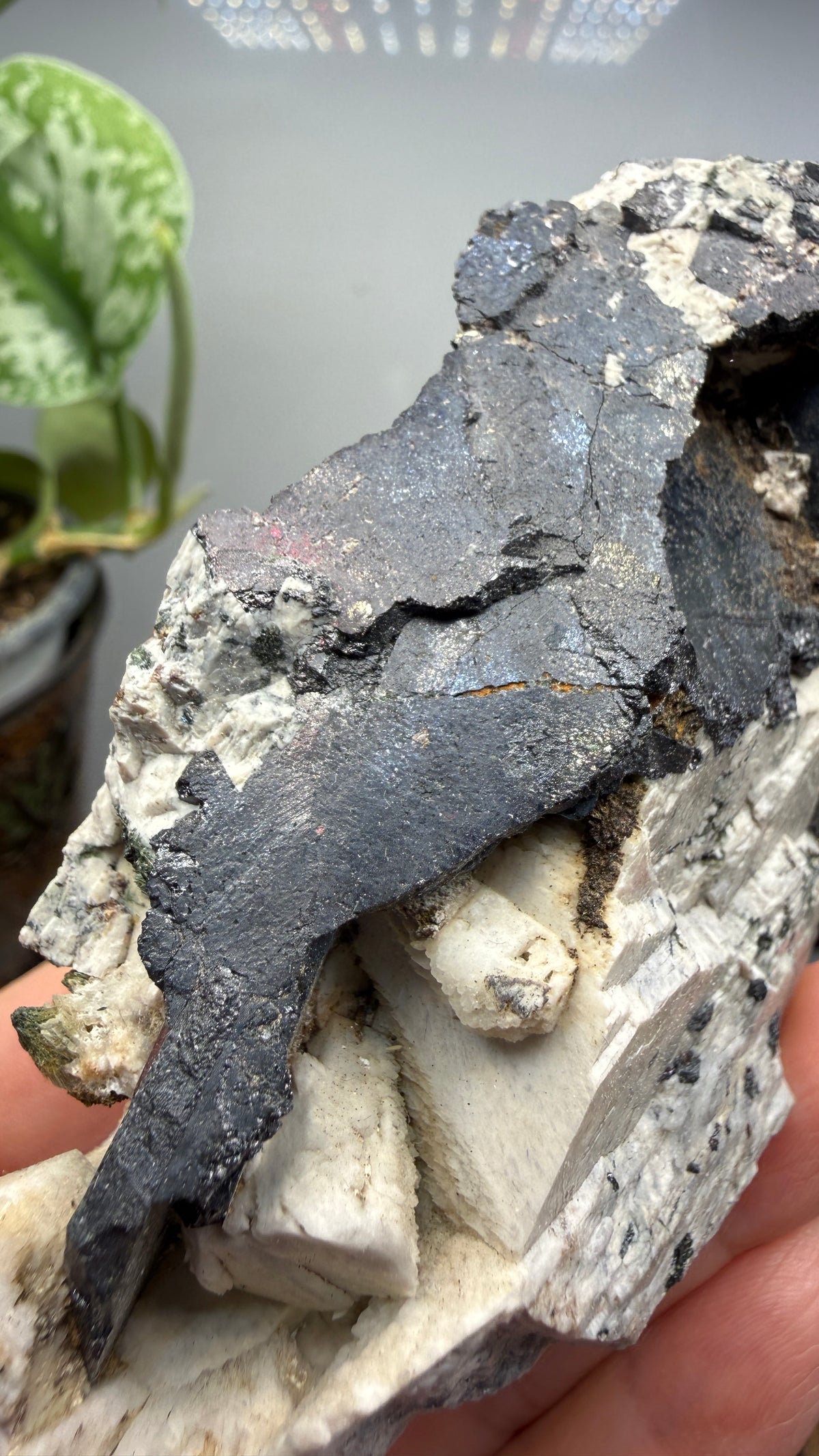 Aegirine with Albite- Mount Malosa, Zomba District, Southern Region, Malawi