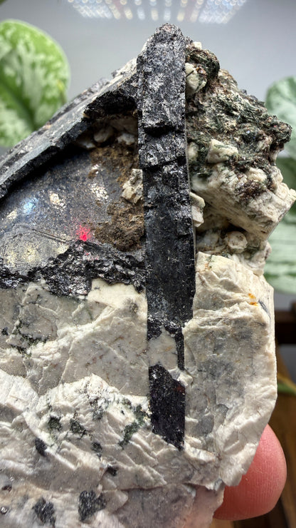 Aegirine with Albite- Mount Malosa, Zomba District, Southern Region, Malawi