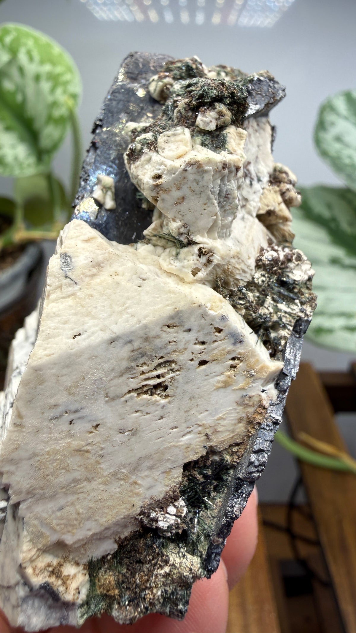 Aegirine with Albite- Mount Malosa, Zomba District, Southern Region, Malawi