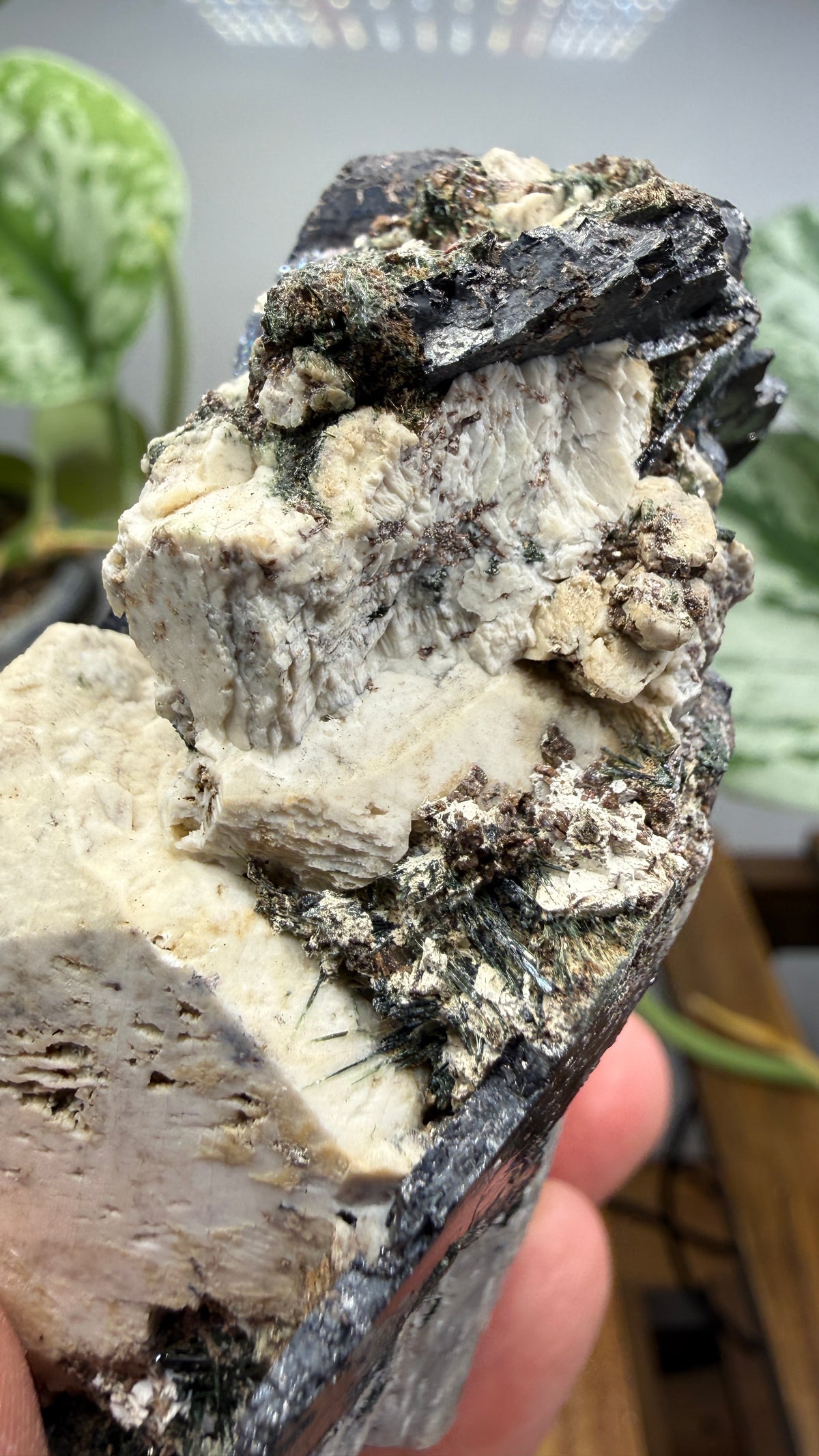 Aegirine with Albite- Mount Malosa, Zomba District, Southern Region, Malawi