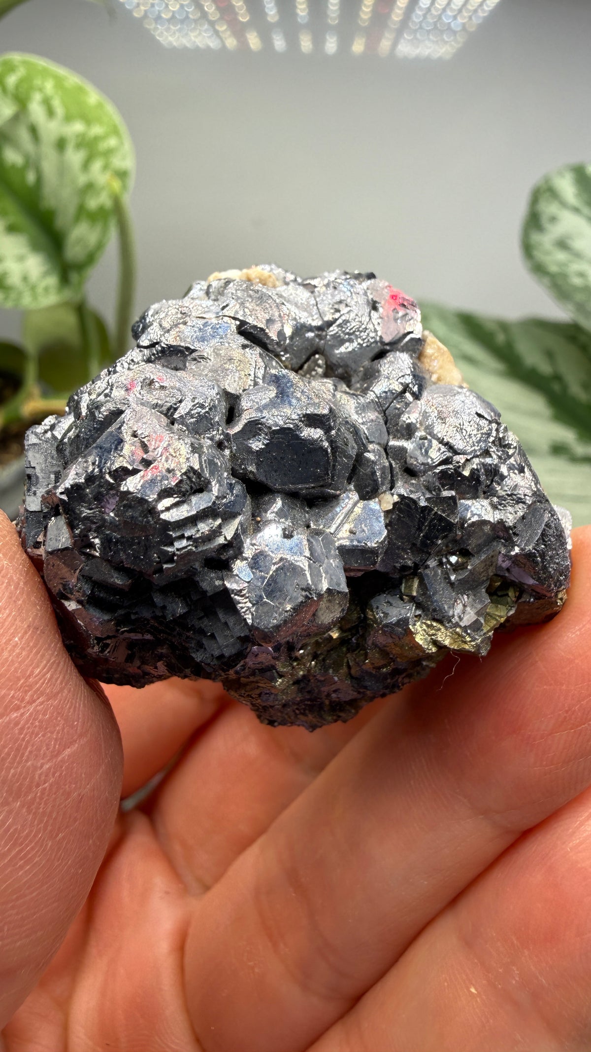 Galena with Pyrite- Huanzala Mine, Huallanca District, Bolognesi Province, Ancash, Peru