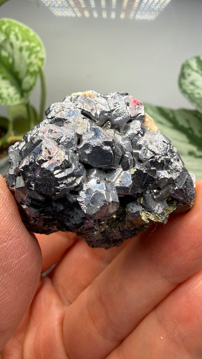 Galena with Pyrite- Huanzala Mine, Huallanca District, Bolognesi Province, Ancash, Peru