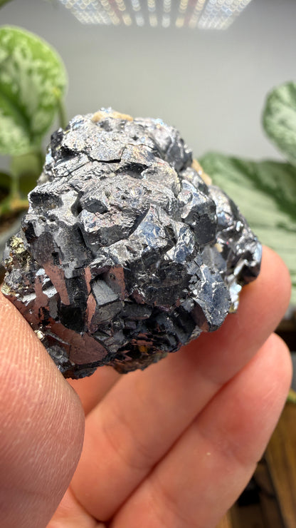 Galena with Pyrite- Huanzala Mine, Huallanca District, Bolognesi Province, Ancash, Peru