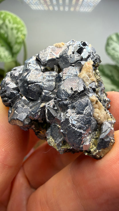 Galena with Pyrite- Huanzala Mine, Huallanca District, Bolognesi Province, Ancash, Peru