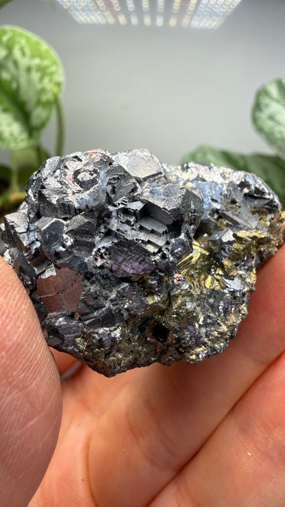Galena with Pyrite- Huanzala Mine, Huallanca District, Bolognesi Province, Ancash, Peru