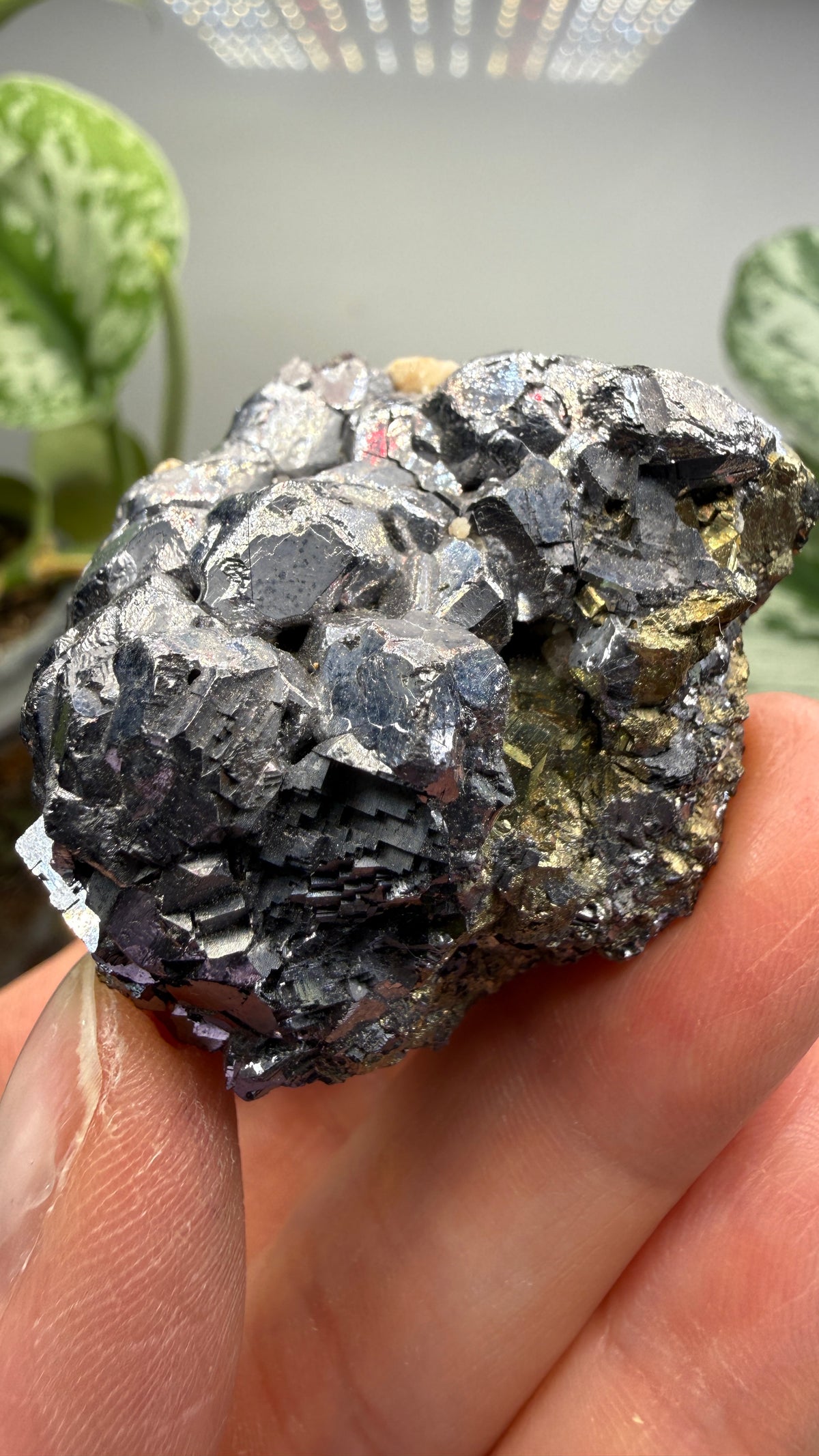 Galena with Pyrite- Huanzala Mine, Huallanca District, Bolognesi Province, Ancash, Peru