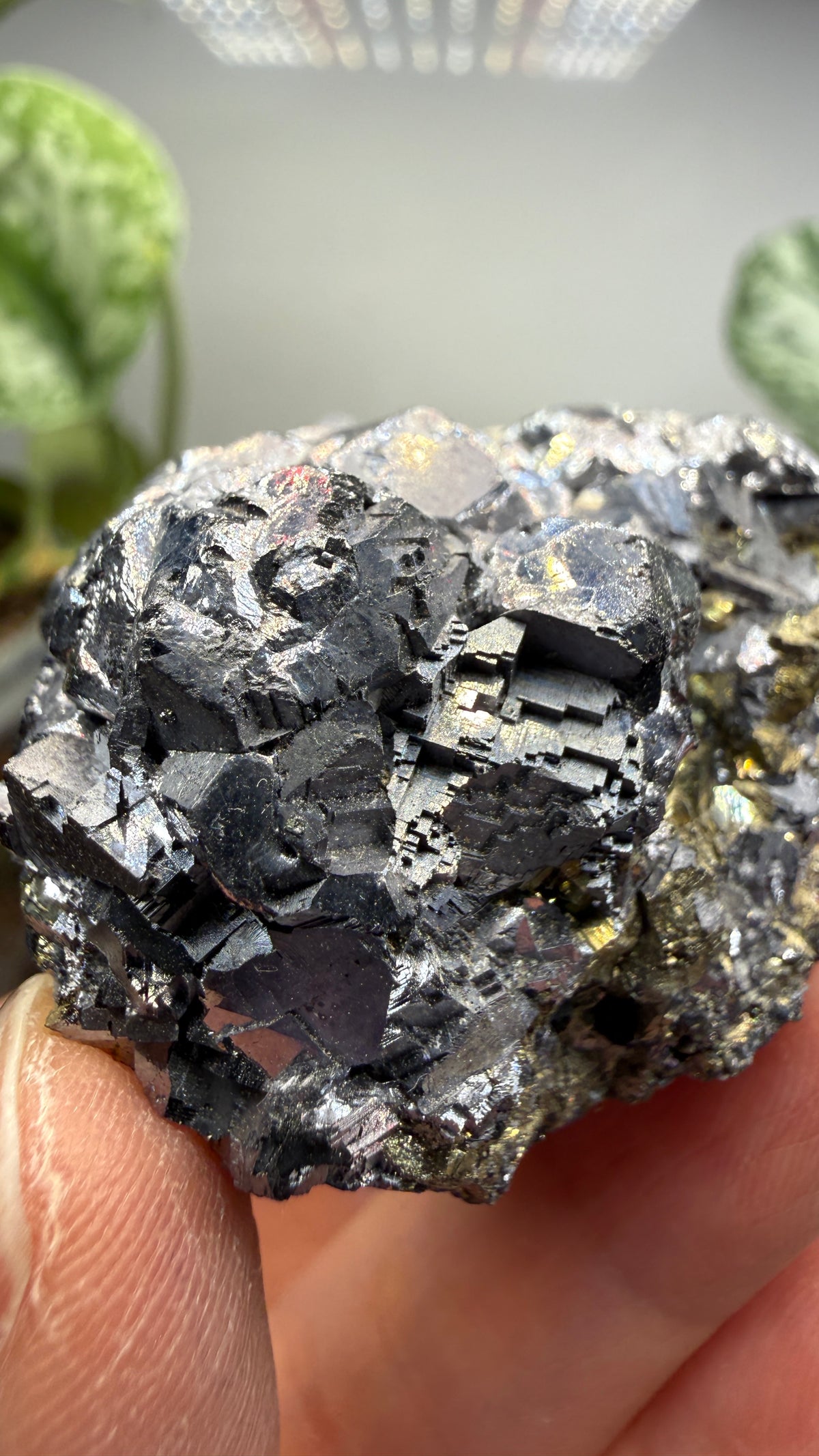 Galena with Pyrite- Huanzala Mine, Huallanca District, Bolognesi Province, Ancash, Peru