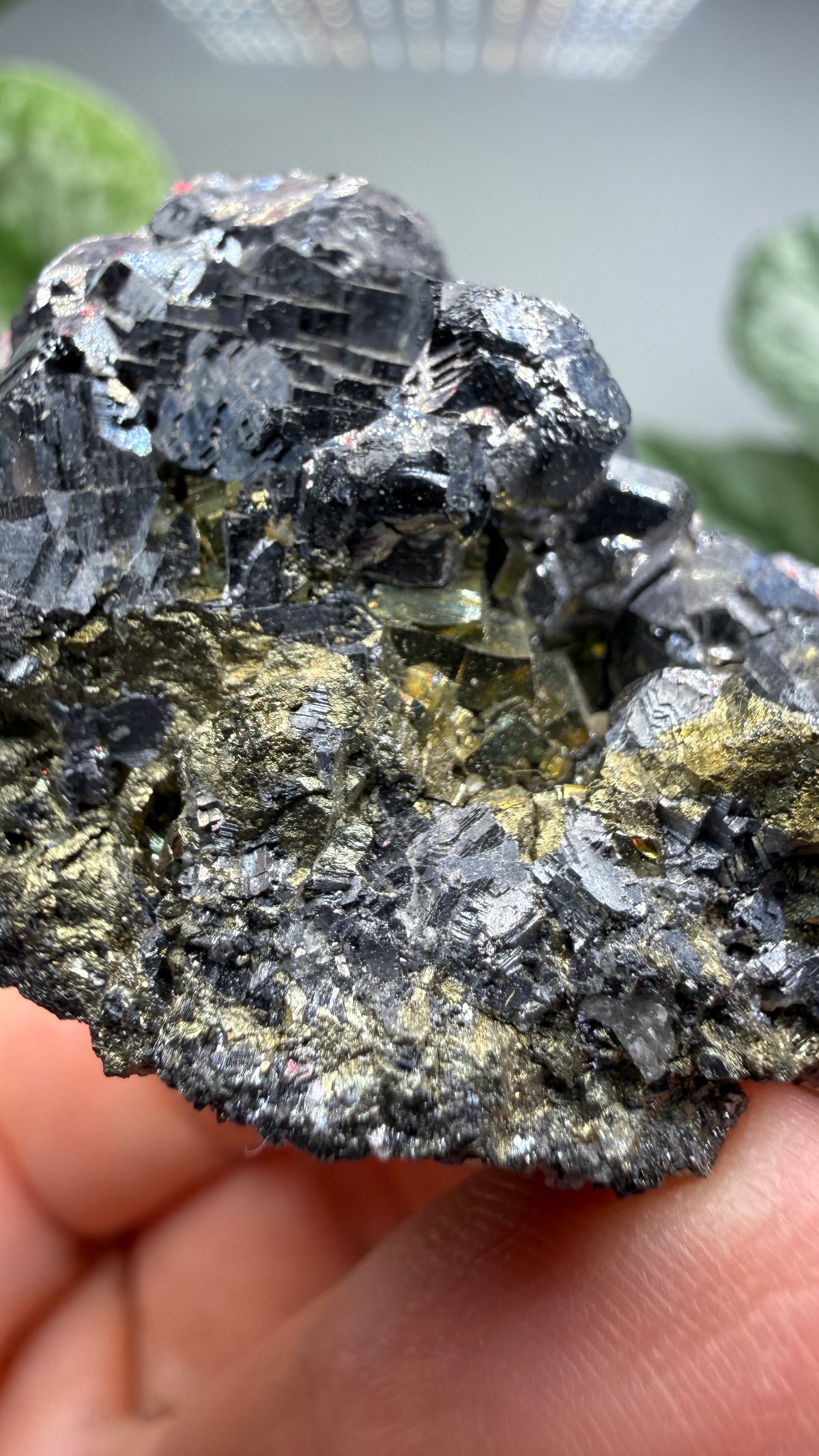 Galena with Pyrite- Huanzala Mine, Huallanca District, Bolognesi Province, Ancash, Peru