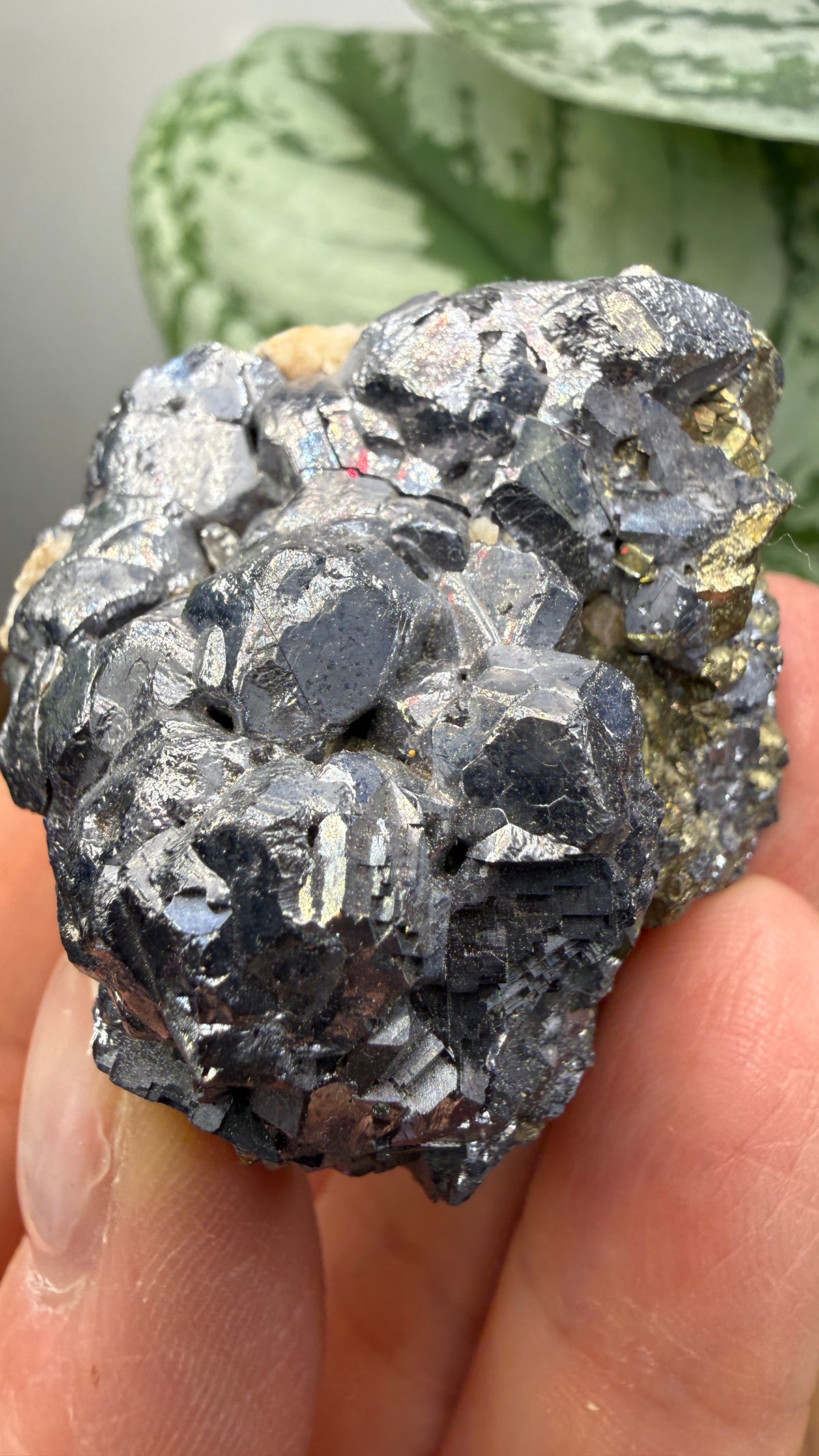 Galena with Pyrite- Huanzala Mine, Huallanca District, Bolognesi Province, Ancash, Peru