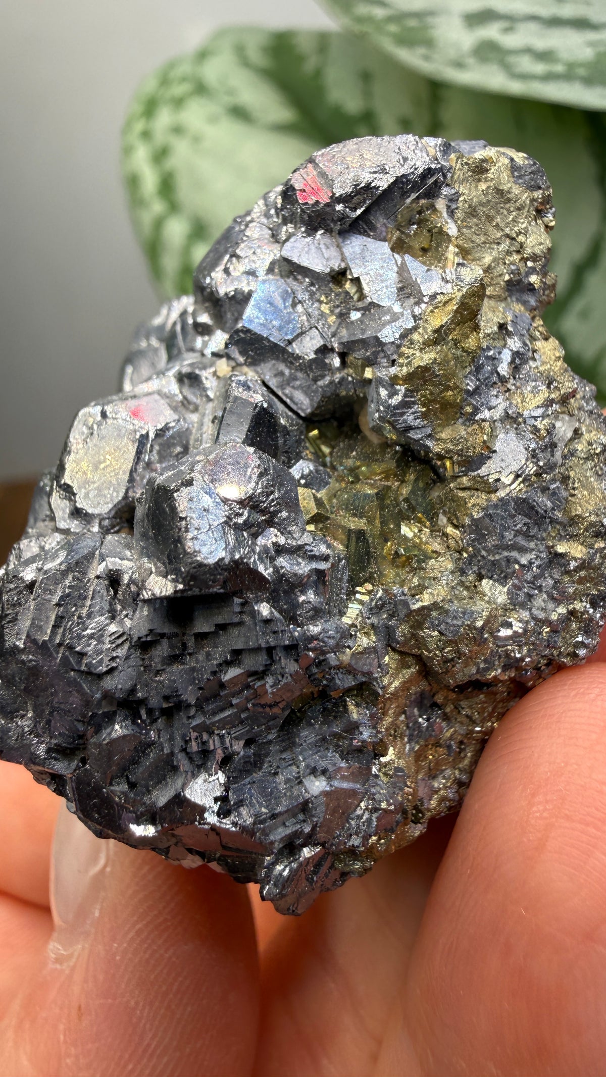 Galena with Pyrite- Huanzala Mine, Huallanca District, Bolognesi Province, Ancash, Peru