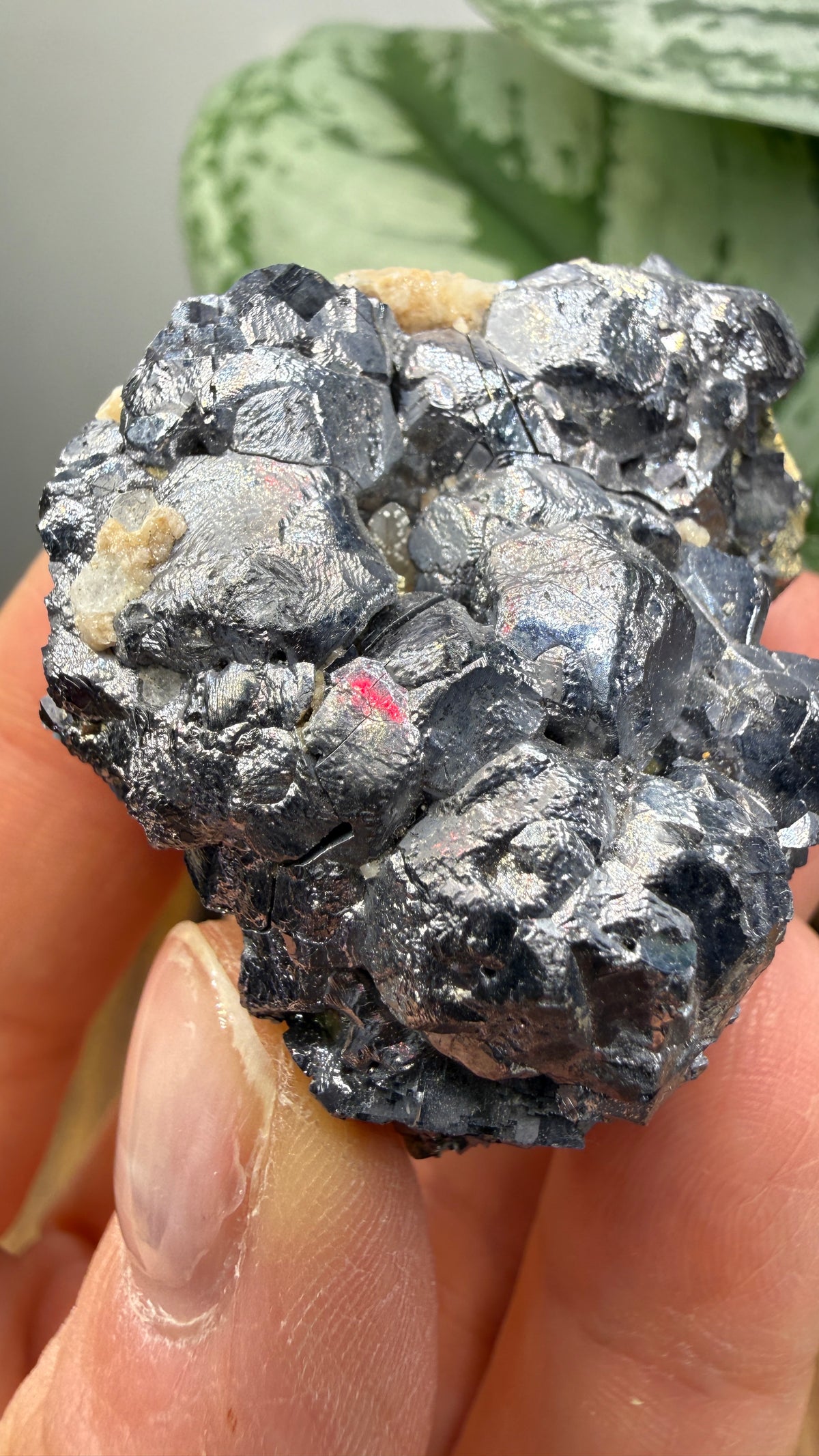 Galena with Pyrite- Huanzala Mine, Huallanca District, Bolognesi Province, Ancash, Peru