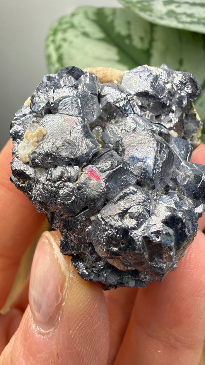 Galena with Pyrite- Huanzala Mine, Huallanca District, Bolognesi Province, Ancash, Peru