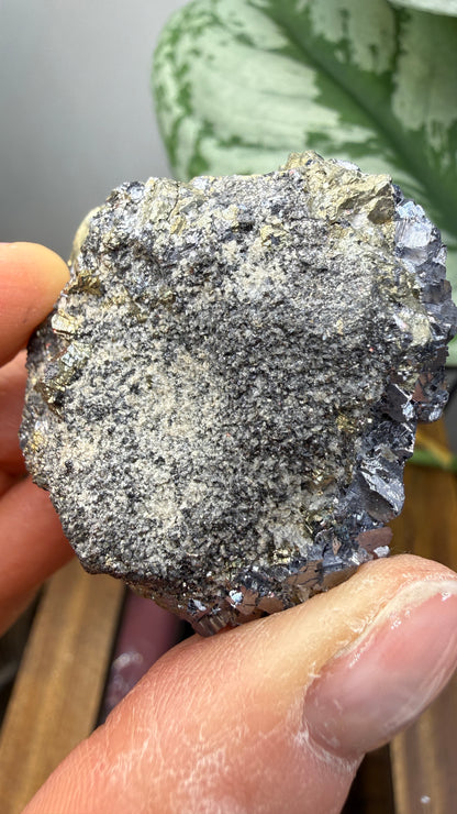 Galena with Pyrite- Huanzala Mine, Huallanca District, Bolognesi Province, Ancash, Peru