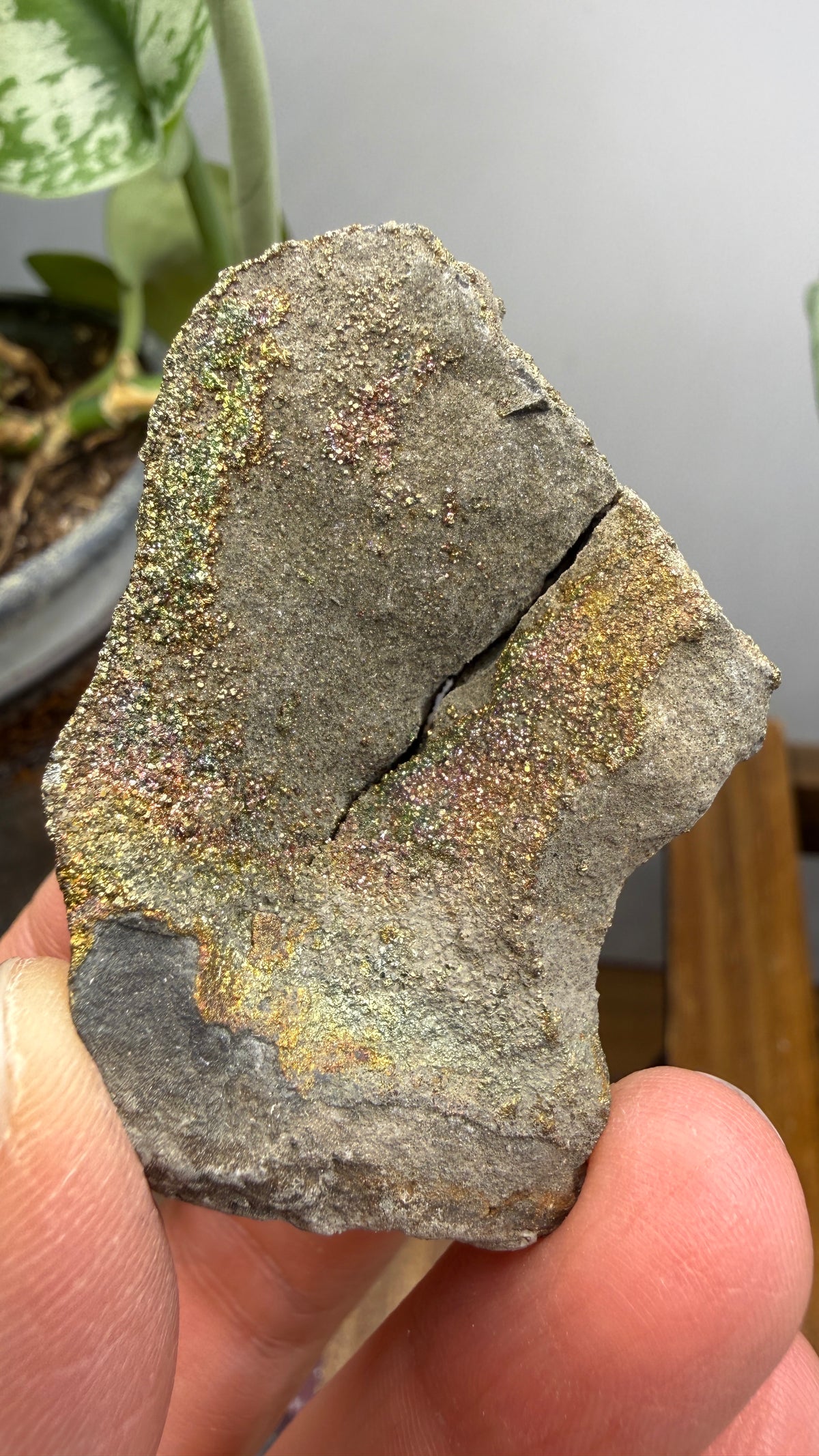 Rainbow Pyrite- Volga River, Ulyanovsk Oblast, Russia