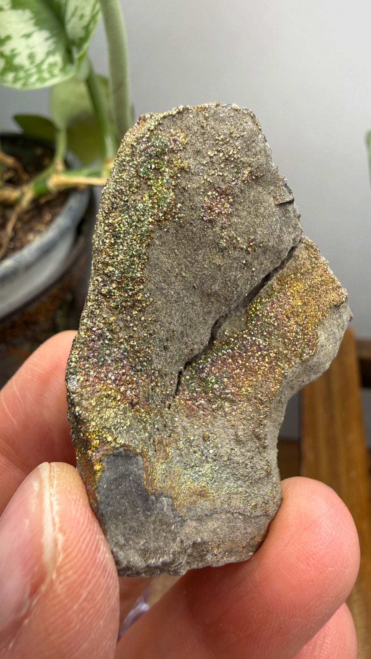 Rainbow Pyrite- Volga River, Ulyanovsk Oblast, Russia