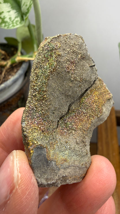Rainbow Pyrite- Volga River, Ulyanovsk Oblast, Russia