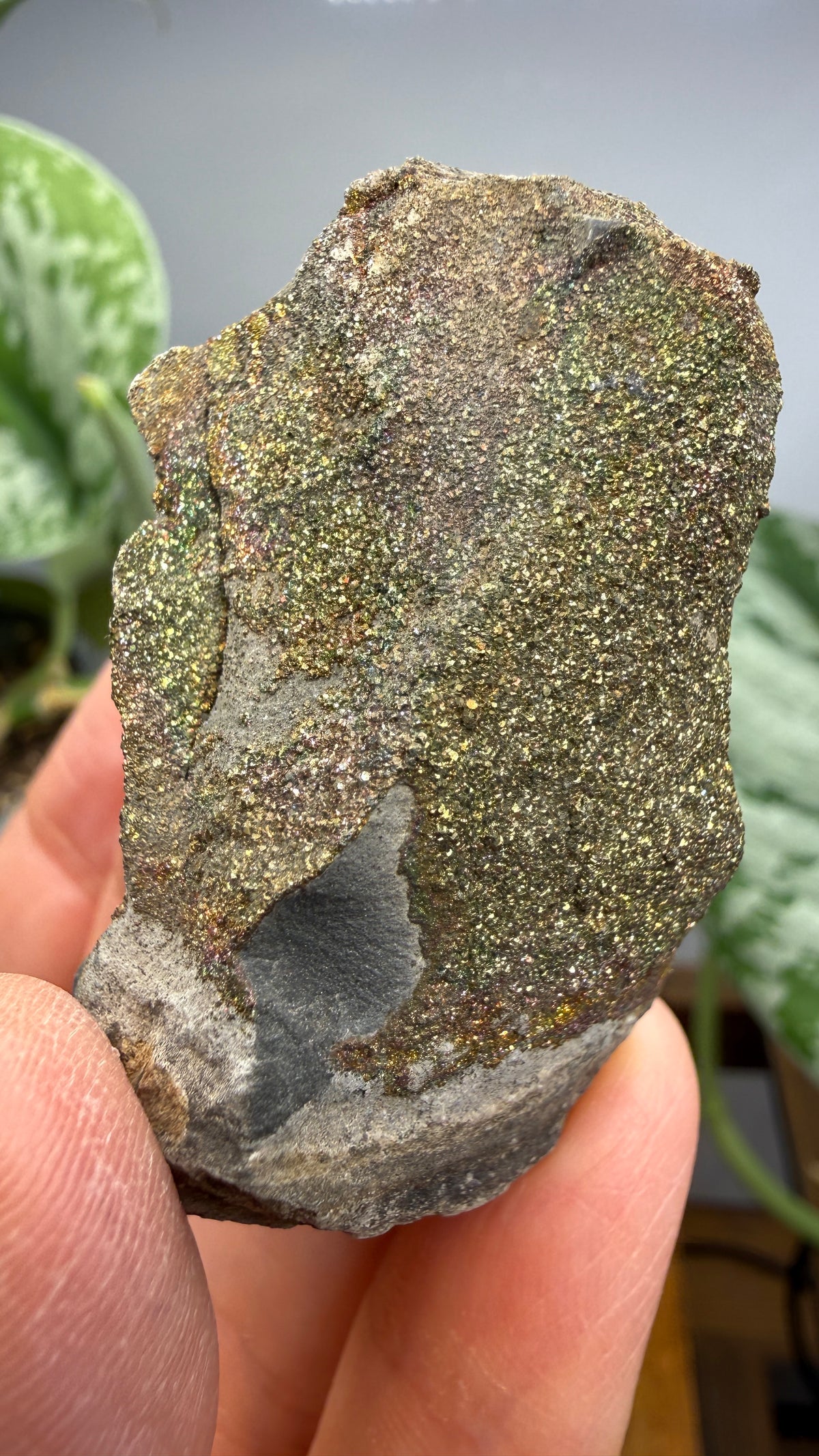 Rainbow Pyrite- Volga River, Ulyanovsk Oblast, Russia
