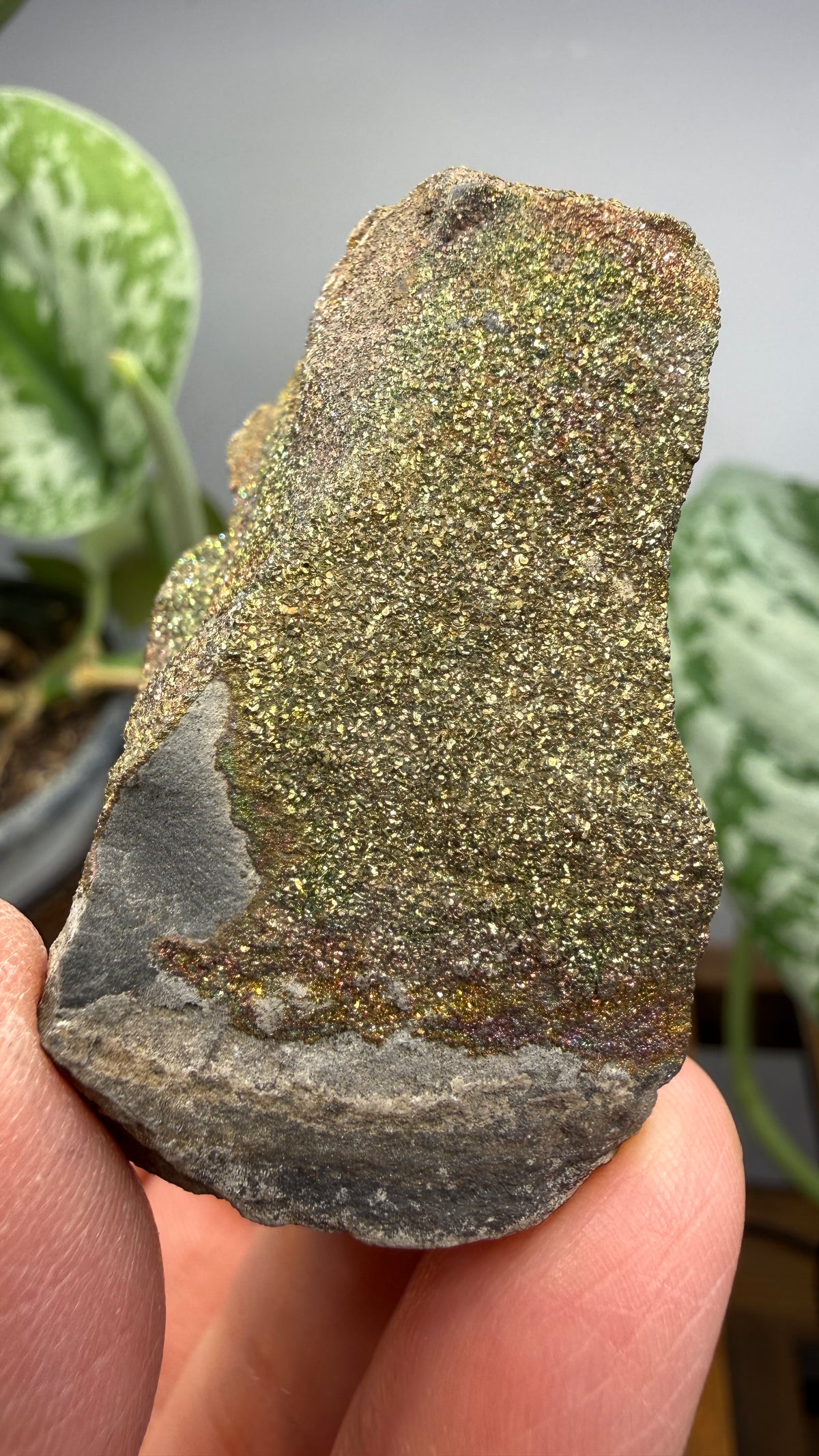 Rainbow Pyrite- Volga River, Ulyanovsk Oblast, Russia
