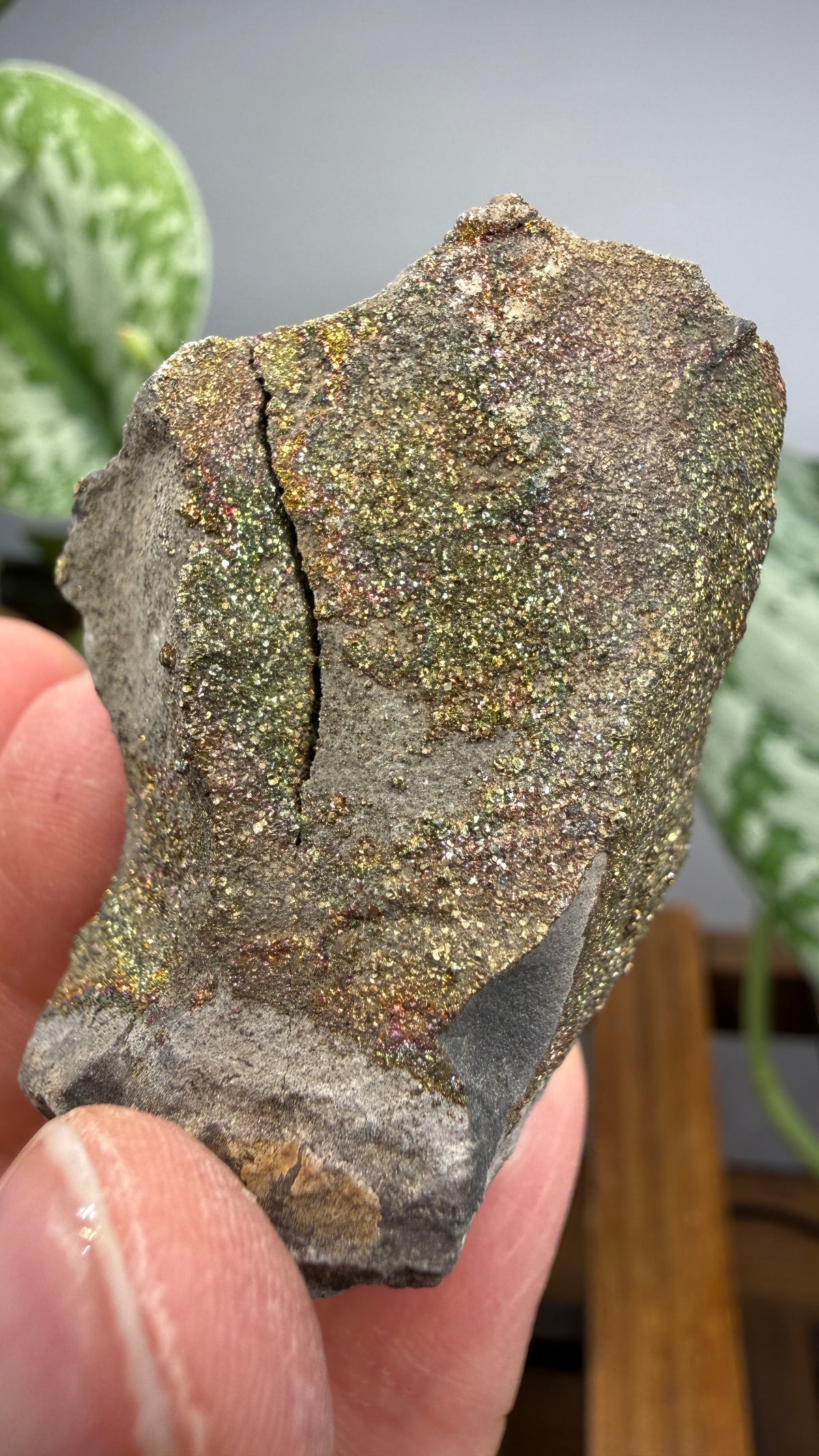 Rainbow Pyrite- Volga River, Ulyanovsk Oblast, Russia