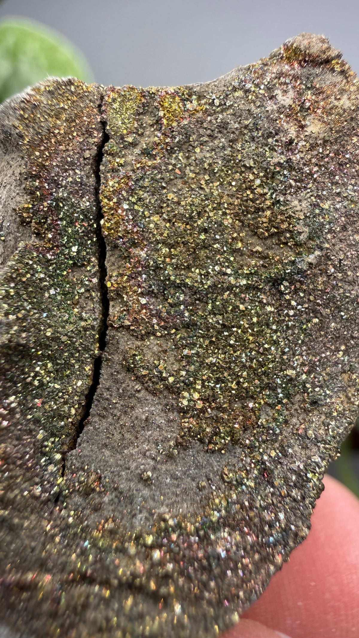 Rainbow Pyrite- Volga River, Ulyanovsk Oblast, Russia