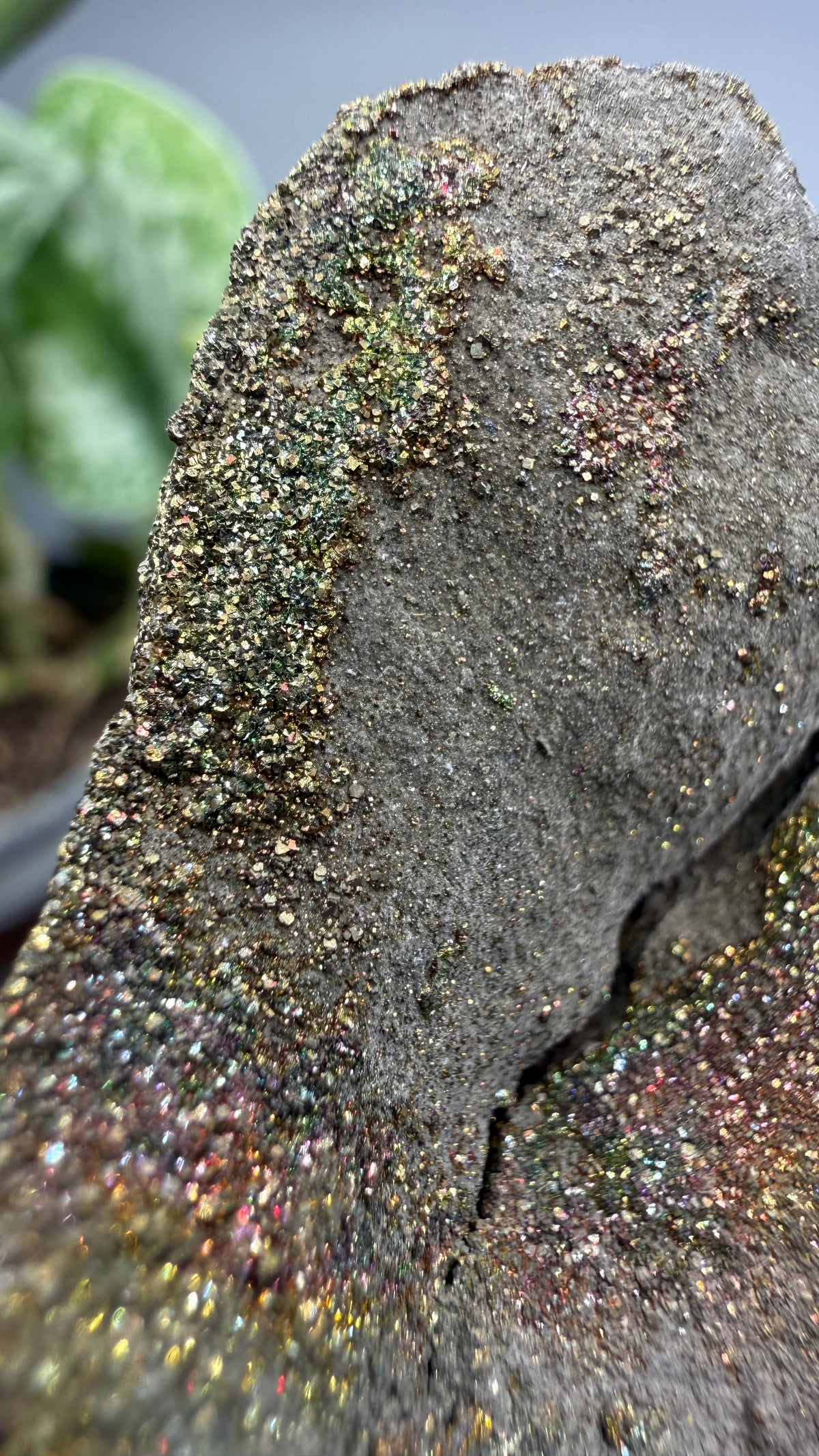 Rainbow Pyrite- Volga River, Ulyanovsk Oblast, Russia