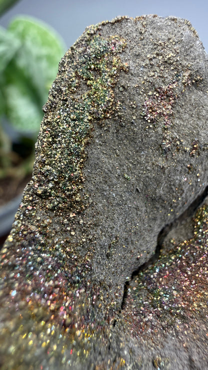 Rainbow Pyrite- Volga River, Ulyanovsk Oblast, Russia