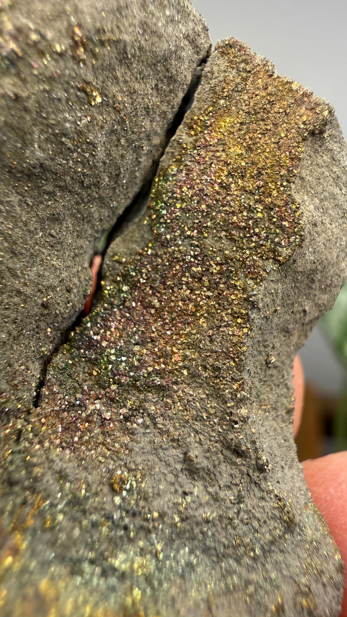 Rainbow Pyrite- Volga River, Ulyanovsk Oblast, Russia