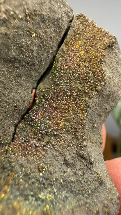 Rainbow Pyrite- Volga River, Ulyanovsk Oblast, Russia