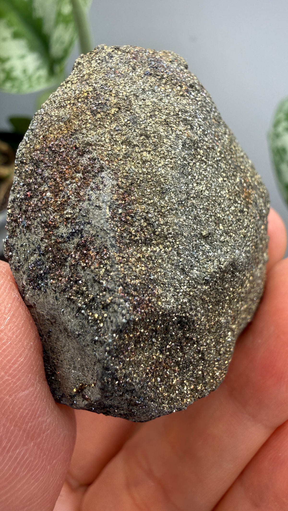 Rainbow Pyrite- Volga River, Ulyanovsk Oblast, Russia