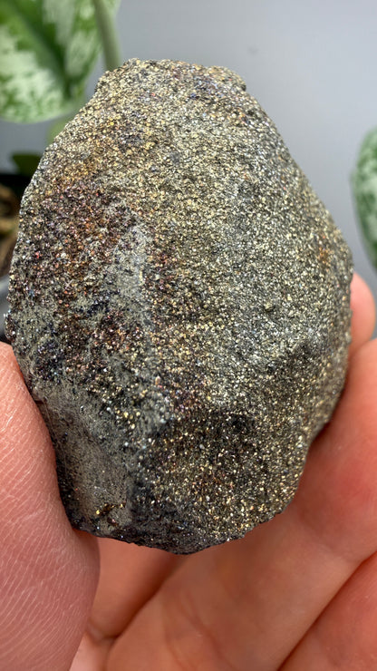 Rainbow Pyrite- Volga River, Ulyanovsk Oblast, Russia