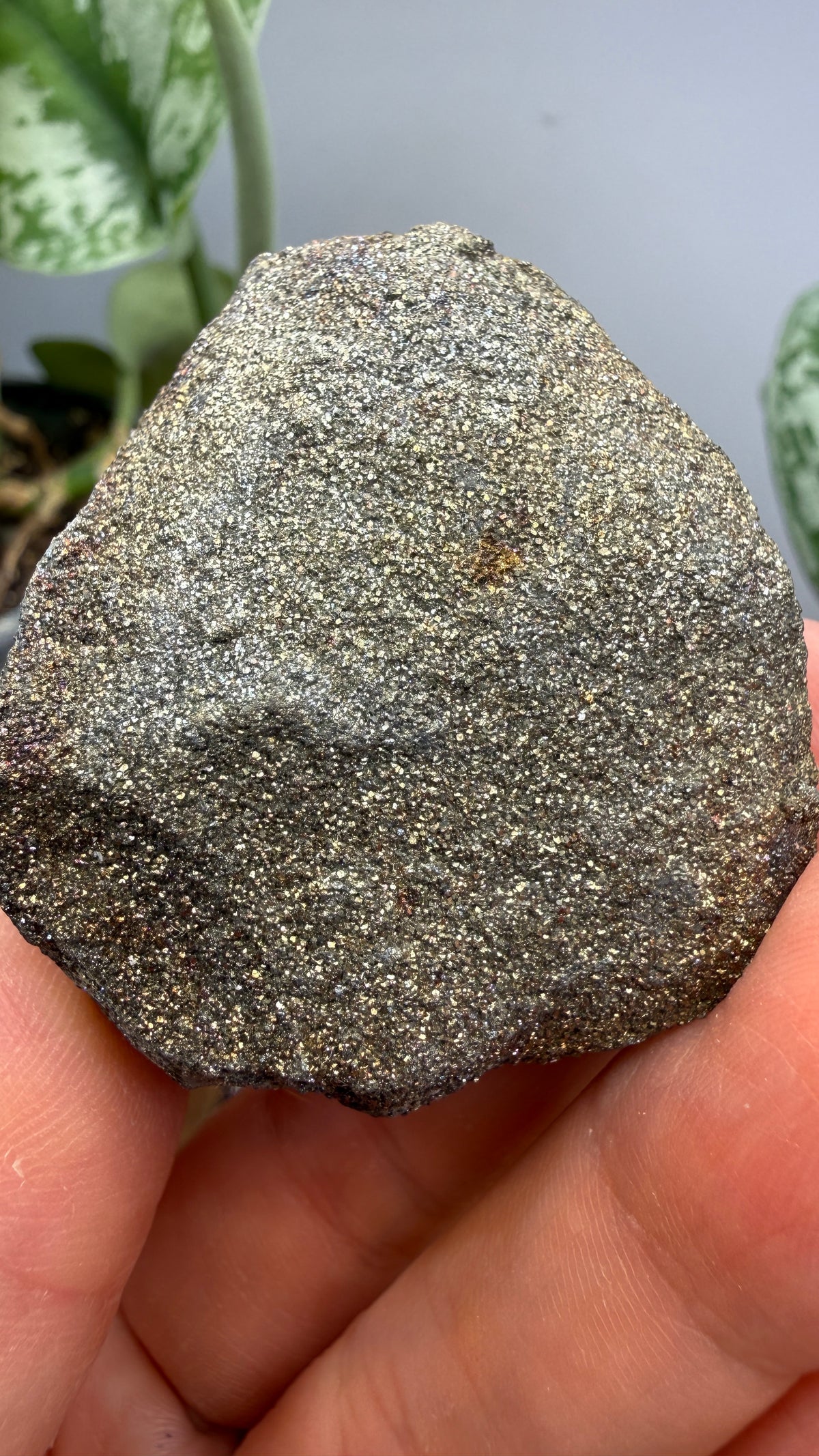 Rainbow Pyrite- Volga River, Ulyanovsk Oblast, Russia