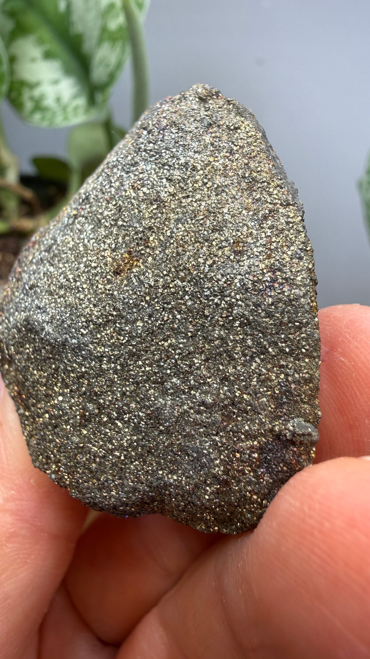 Rainbow Pyrite- Volga River, Ulyanovsk Oblast, Russia