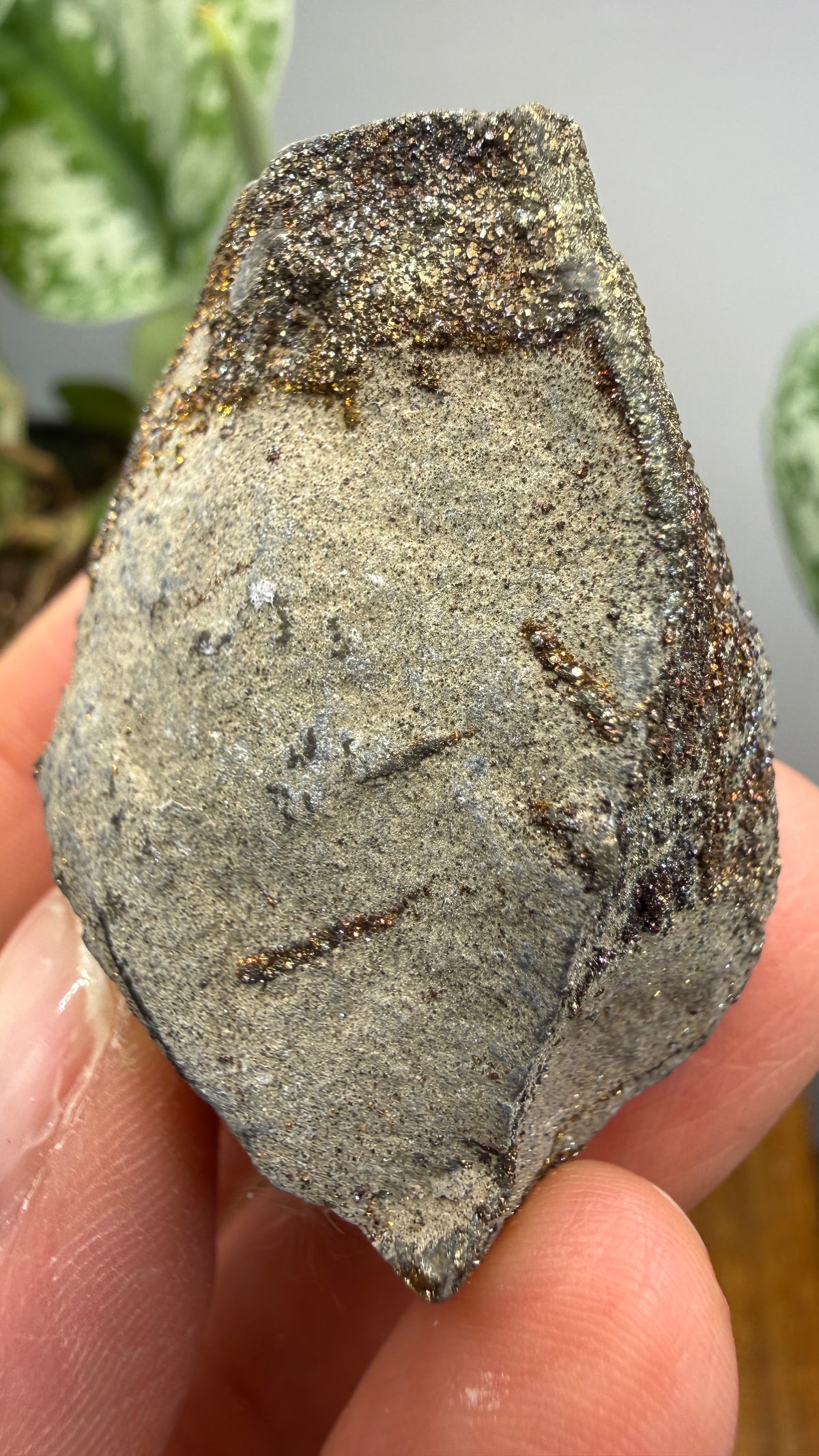 Rainbow Pyrite- Volga River, Ulyanovsk Oblast, Russia