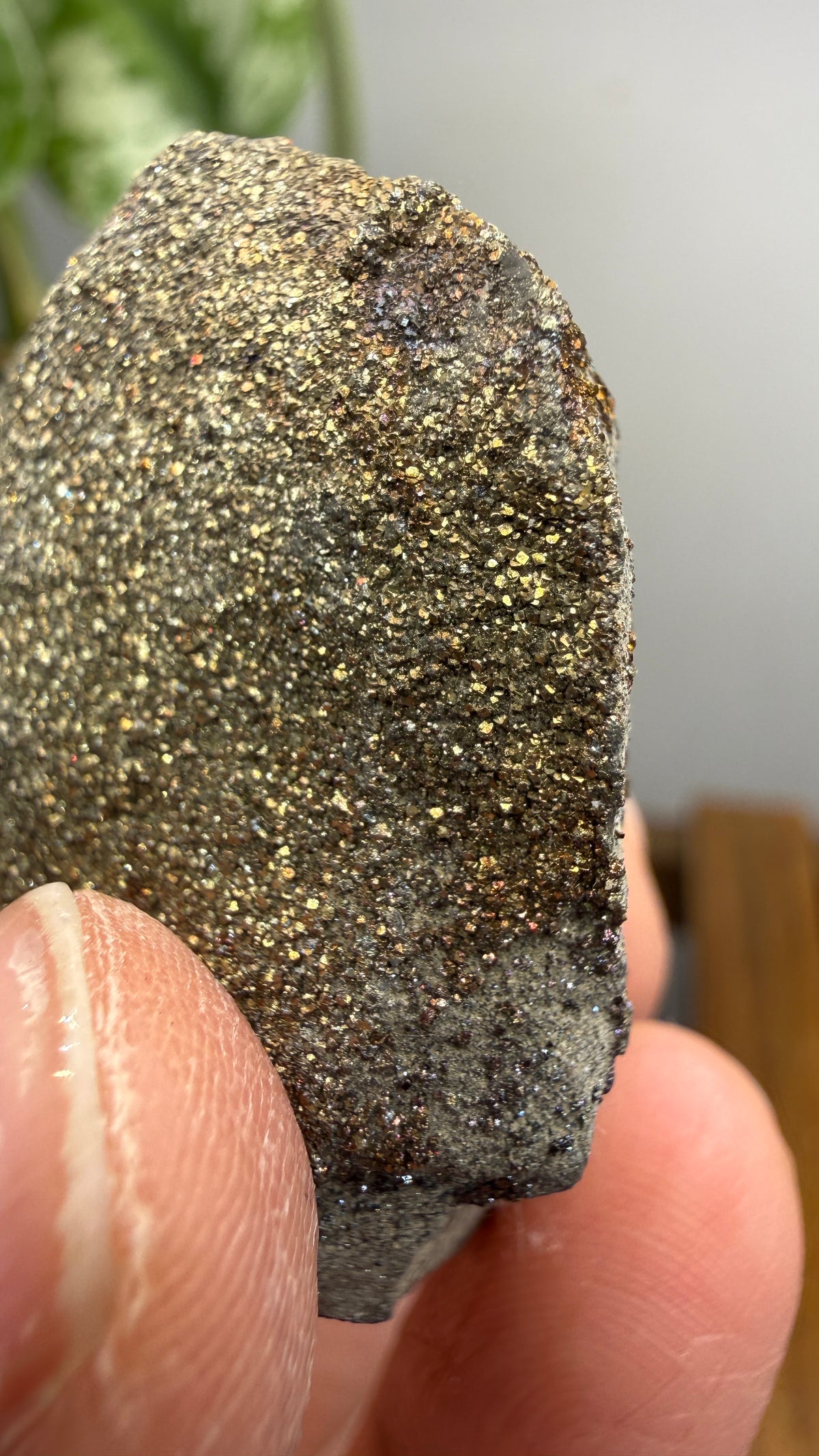 Rainbow Pyrite- Volga River, Ulyanovsk Oblast, Russia