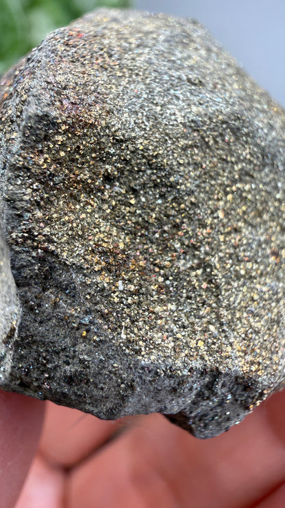 Rainbow Pyrite- Volga River, Ulyanovsk Oblast, Russia